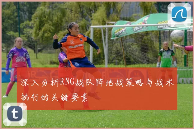 深入分析RNG战队阵地战策略与战术执行的关键要素