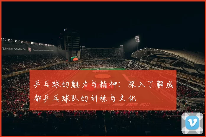 乒乓球的魅力与精神：深入了解成都乒乓球队的训练与文化