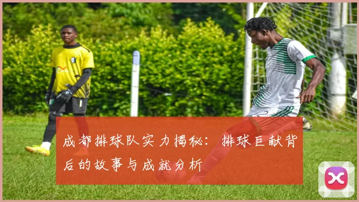 成都排球队实力揭秘：排球巨献背后的故事与成就分析