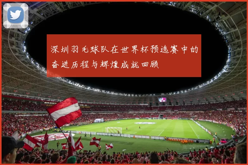 深圳羽毛球队在世界杯预选赛中的奋进历程与辉煌成就回顾