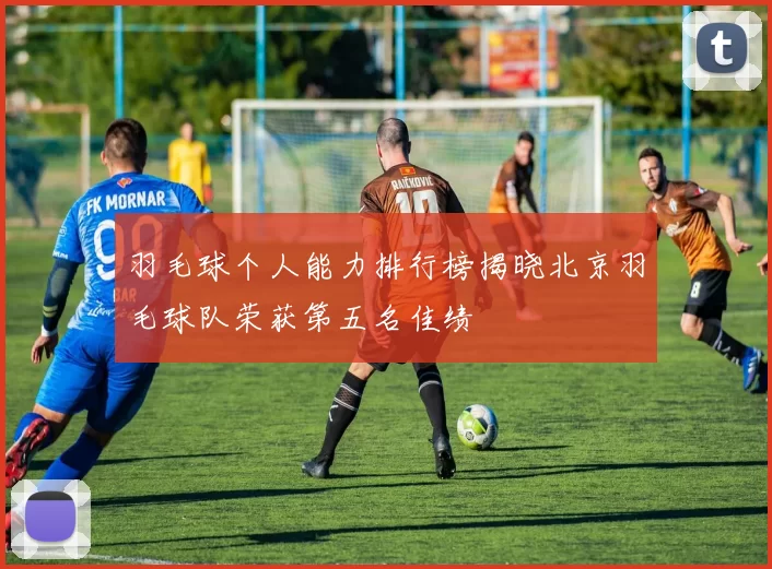 羽毛球个人能力排行榜揭晓北京羽毛球队荣获第五名佳绩