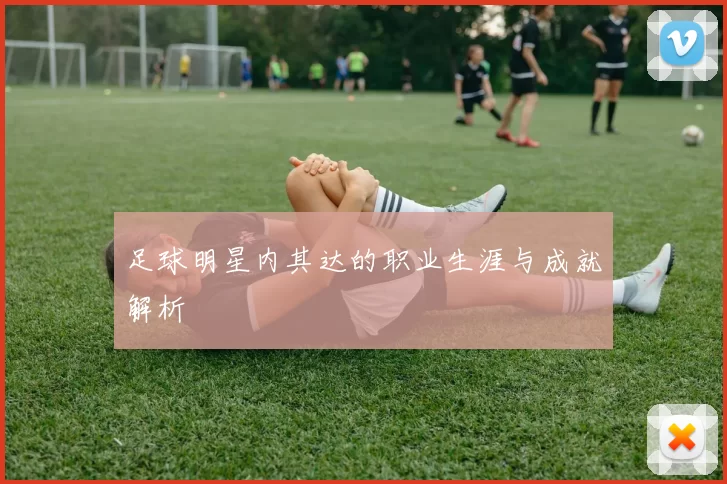 足球明星内其达的职业生涯与成就解析